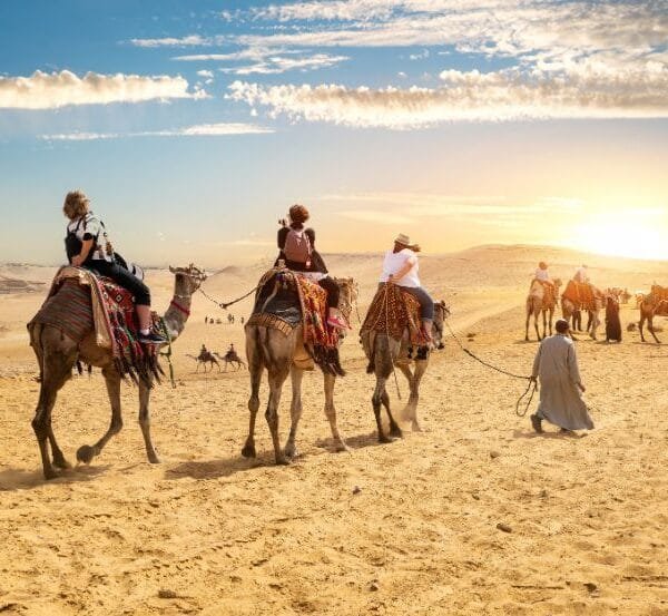 camel ride