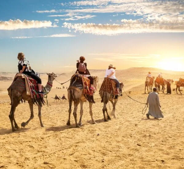 camel ride