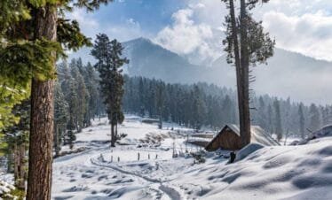 Delhi to Manali: Northern India Odyssey: From Historic Capitals to Himalayan Retreats