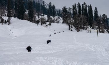 North India Exploration: Golden Temple, Himalayan Retreats, and Hill Station Charm