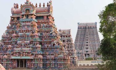 Southern Splendors: Tamil Nadu Tour